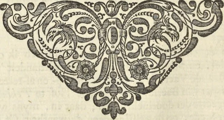 An illustration from Het gezandtschap der Neêrlandtsche Oost-Indische Compagnie, aan den grooten Tartarischen Cham, den tegenwoordigen keizer van China : waar in de gedenkwaerdigste geschiedenissen, die onder het reizen door de Sineesche landtschappen, Quantung, Kiangsi, Nanking, Xantung en Peking, en aan het keizerlyke hof te Peking, zedert den jaare 1655 tot 1657 zyn voorgevallen, op het bondigste verhandelt worden : beneffens een naauwkeurige beschryvinge der Sineesche steden, dorpen, regeering, weetenschappen, handwerken, zeden, godsdiensten, gebouwen, drachten, scheepen, bergen, gewaffen, dieren, &c. en oorlogen tegen de Tarters : verçiert met over de 150 afbeeldtsels, na 't leven in Sina, 1693, leaf 351
