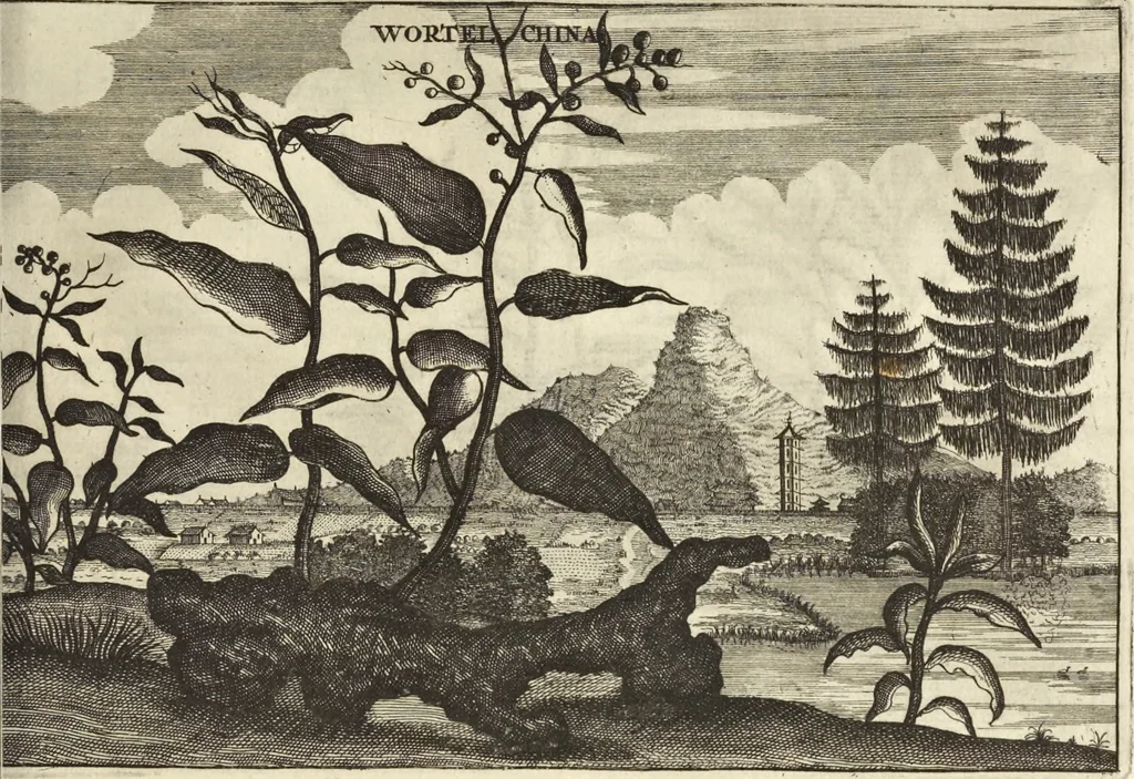 An illustration from Het gezandtschap der Neêrlandtsche Oost-Indische Compagnie, aan den grooten Tartarischen Cham, den tegenwoordigen keizer van China : waar in de gedenkwaerdigste geschiedenissen, die onder het reizen door de Sineesche landtschappen, Quantung, Kiangsi, Nanking, Xantung en Peking, en aan het keizerlyke hof te Peking, zedert den jaare 1655 tot 1657 zyn voorgevallen, op het bondigste verhandelt worden : beneffens een naauwkeurige beschryvinge der Sineesche steden, dorpen, regeering, weetenschappen, handwerken, zeden, godsdiensten, gebouwen, drachten, scheepen, bergen, gewaffen, dieren, &c. en oorlogen tegen de Tarters : verçiert met over de 150 afbeeldtsels, na 't leven in Sina, 1693, leaf 474