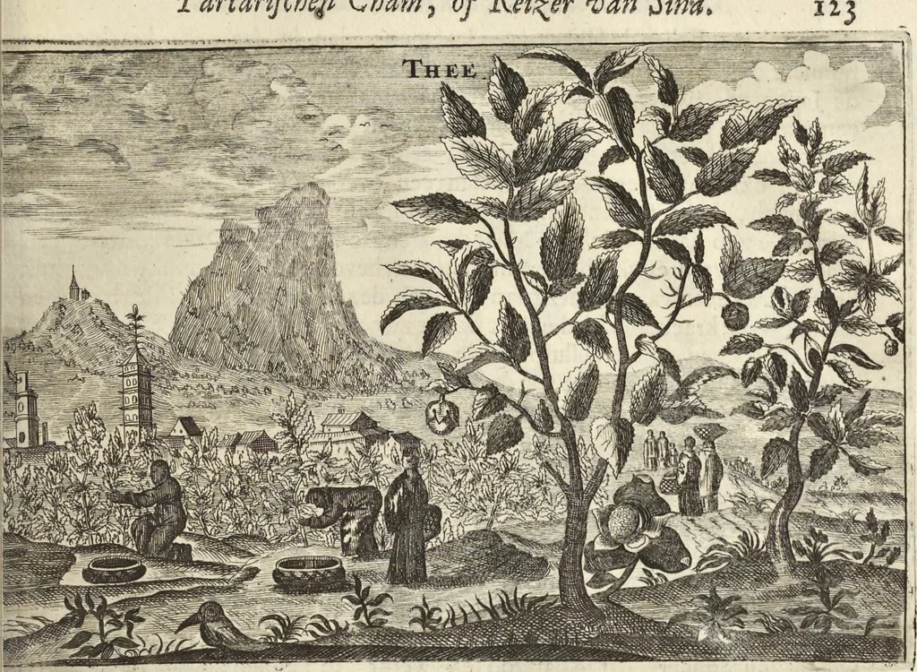 An illustration from Het gezandtschap der Neêrlandtsche Oost-Indische Compagnie, aan den grooten Tartarischen Cham, den tegenwoordigen keizer van China : waar in de gedenkwaerdigste geschiedenissen, die onder het reizen door de Sineesche landtschappen, Quantung, Kiangsi, Nanking, Xantung en Peking, en aan het keizerlyke hof te Peking, zedert den jaare 1655 tot 1657 zyn voorgevallen, op het bondigste verhandelt worden : beneffens een naauwkeurige beschryvinge der Sineesche steden, dorpen, regeering, weetenschappen, handwerken, zeden, godsdiensten, gebouwen, drachten, scheepen, bergen, gewaffen, dieren, &c. en oorlogen tegen de Tarters : verçiert met over de 150 afbeeldtsels, na 't leven in Sina, 1693, leaf 478