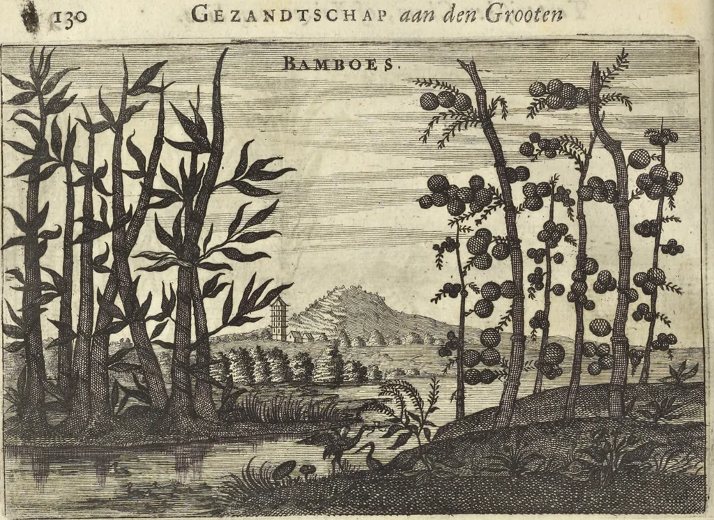 An illustration from Het gezandtschap der Neêrlandtsche Oost-Indische Compagnie, aan den grooten Tartarischen Cham, den tegenwoordigen keizer van China : waar in de gedenkwaerdigste geschiedenissen, die onder het reizen door de Sineesche landtschappen, Quantung, Kiangsi, Nanking, Xantung en Peking, en aan het keizerlyke hof te Peking, zedert den jaare 1655 tot 1657 zyn voorgevallen, op het bondigste verhandelt worden : beneffens een naauwkeurige beschryvinge der Sineesche steden, dorpen, regeering, weetenschappen, handwerken, zeden, godsdiensten, gebouwen, drachten, scheepen, bergen, gewaffen, dieren, &c. en oorlogen tegen de Tarters : verçiert met over de 150 afbeeldtsels, na 't leven in Sina, 1693, leaf 485