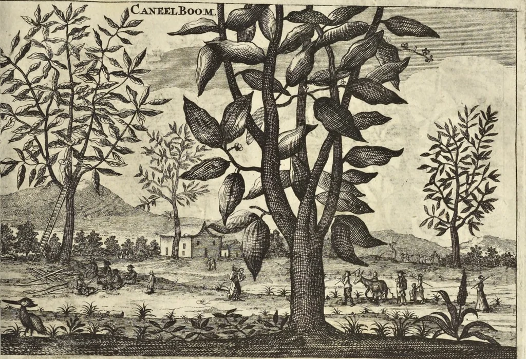 An illustration from Het gezandtschap der Neêrlandtsche Oost-Indische Compagnie, aan den grooten Tartarischen Cham, den tegenwoordigen keizer van China : waar in de gedenkwaerdigste geschiedenissen, die onder het reizen door de Sineesche landtschappen, Quantung, Kiangsi, Nanking, Xantung en Peking, en aan het keizerlyke hof te Peking, zedert den jaare 1655 tot 1657 zyn voorgevallen, op het bondigste verhandelt worden : beneffens een naauwkeurige beschryvinge der Sineesche steden, dorpen, regeering, weetenschappen, handwerken, zeden, godsdiensten, gebouwen, drachten, scheepen, bergen, gewaffen, dieren, &c. en oorlogen tegen de Tarters : verçiert met over de 150 afbeeldtsels, na 't leven in Sina, 1693, leaf 488