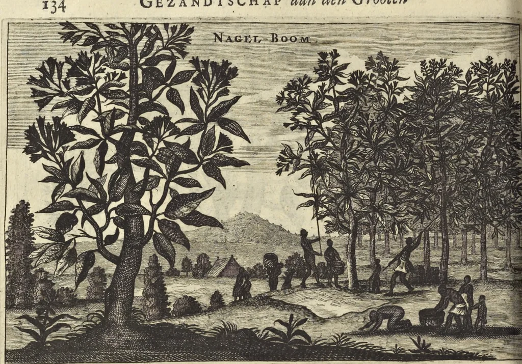 An illustration from Het gezandtschap der Neêrlandtsche Oost-Indische Compagnie, aan den grooten Tartarischen Cham, den tegenwoordigen keizer van China : waar in de gedenkwaerdigste geschiedenissen, die onder het reizen door de Sineesche landtschappen, Quantung, Kiangsi, Nanking, Xantung en Peking, en aan het keizerlyke hof te Peking, zedert den jaare 1655 tot 1657 zyn voorgevallen, op het bondigste verhandelt worden : beneffens een naauwkeurige beschryvinge der Sineesche steden, dorpen, regeering, weetenschappen, handwerken, zeden, godsdiensten, gebouwen, drachten, scheepen, bergen, gewaffen, dieren, &c. en oorlogen tegen de Tarters : verçiert met over de 150 afbeeldtsels, na 't leven in Sina, 1693, leaf 489