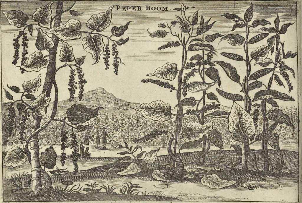 An illustration from Het gezandtschap der Neêrlandtsche Oost-Indische Compagnie, aan den grooten Tartarischen Cham, den tegenwoordigen keizer van China : waar in de gedenkwaerdigste geschiedenissen, die onder het reizen door de Sineesche landtschappen, Quantung, Kiangsi, Nanking, Xantung en Peking, en aan het keizerlyke hof te Peking, zedert den jaare 1655 tot 1657 zyn voorgevallen, op het bondigste verhandelt worden : beneffens een naauwkeurige beschryvinge der Sineesche steden, dorpen, regeering, weetenschappen, handwerken, zeden, godsdiensten, gebouwen, drachten, scheepen, bergen, gewaffen, dieren, &c. en oorlogen tegen de Tarters : verçiert met over de 150 afbeeldtsels, na 't leven in Sina, 1693, leaf 493