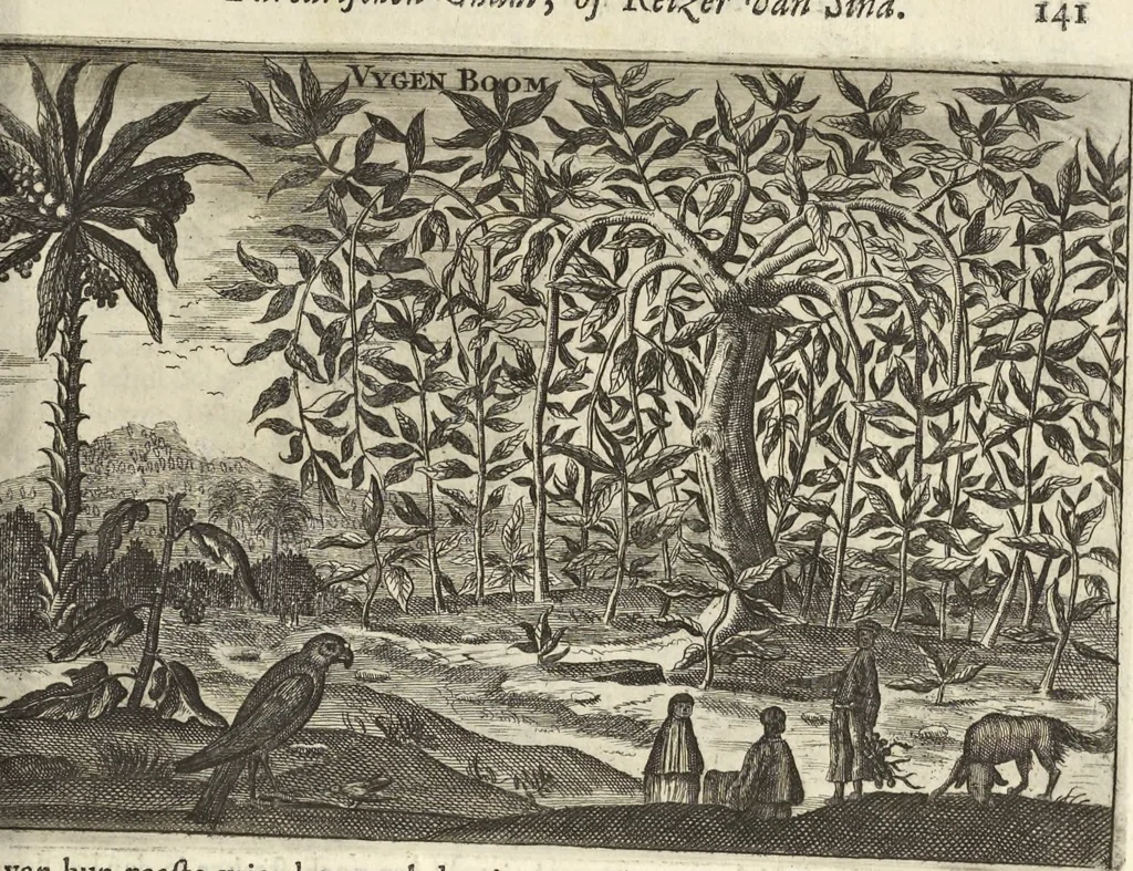An illustration from Het gezandtschap der Neêrlandtsche Oost-Indische Compagnie, aan den grooten Tartarischen Cham, den tegenwoordigen keizer van China : waar in de gedenkwaerdigste geschiedenissen, die onder het reizen door de Sineesche landtschappen, Quantung, Kiangsi, Nanking, Xantung en Peking, en aan het keizerlyke hof te Peking, zedert den jaare 1655 tot 1657 zyn voorgevallen, op het bondigste verhandelt worden : beneffens een naauwkeurige beschryvinge der Sineesche steden, dorpen, regeering, weetenschappen, handwerken, zeden, godsdiensten, gebouwen, drachten, scheepen, bergen, gewaffen, dieren, &c. en oorlogen tegen de Tarters : verçiert met over de 150 afbeeldtsels, na 't leven in Sina, 1693, leaf 496