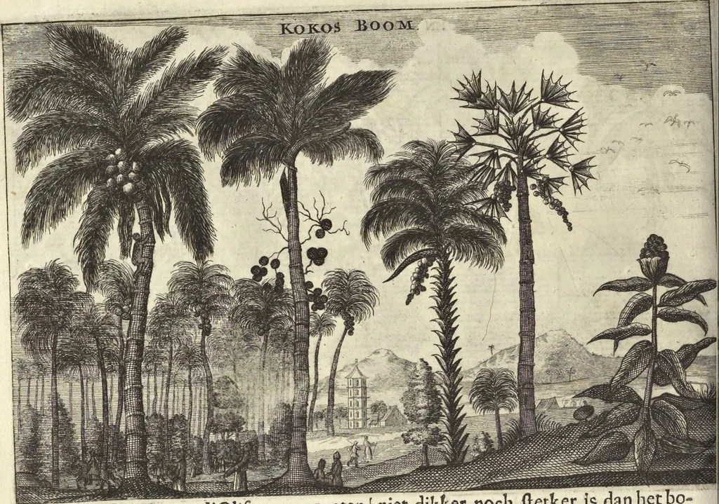 An illustration from Het gezandtschap der Neêrlandtsche Oost-Indische Compagnie, aan den grooten Tartarischen Cham, den tegenwoordigen keizer van China : waar in de gedenkwaerdigste geschiedenissen, die onder het reizen door de Sineesche landtschappen, Quantung, Kiangsi, Nanking, Xantung en Peking, en aan het keizerlyke hof te Peking, zedert den jaare 1655 tot 1657 zyn voorgevallen, op het bondigste verhandelt worden : beneffens een naauwkeurige beschryvinge der Sineesche steden, dorpen, regeering, weetenschappen, handwerken, zeden, godsdiensten, gebouwen, drachten, scheepen, bergen, gewaffen, dieren, &c. en oorlogen tegen de Tarters : verçiert met over de 150 afbeeldtsels, na 't leven in Sina, 1693, leaf 497