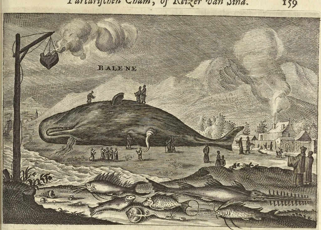 An illustration from Het gezandtschap der Neêrlandtsche Oost-Indische Compagnie, aan den grooten Tartarischen Cham, den tegenwoordigen keizer van China : waar in de gedenkwaerdigste geschiedenissen, die onder het reizen door de Sineesche landtschappen, Quantung, Kiangsi, Nanking, Xantung en Peking, en aan het keizerlyke hof te Peking, zedert den jaare 1655 tot 1657 zyn voorgevallen, op het bondigste verhandelt worden : beneffens een naauwkeurige beschryvinge der Sineesche steden, dorpen, regeering, weetenschappen, handwerken, zeden, godsdiensten, gebouwen, drachten, scheepen, bergen, gewaffen, dieren, &c. en oorlogen tegen de Tarters : verçiert met over de 150 afbeeldtsels, na 't leven in Sina, 1693, leaf 518