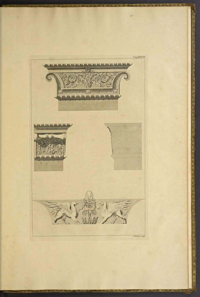 An illustration from Ionian antiqvities, 1769, leaf 118