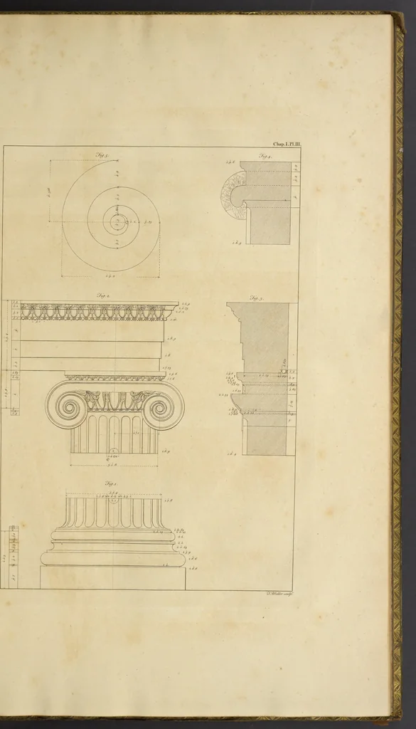 An illustration from Ionian antiqvities, 1769, leaf 30