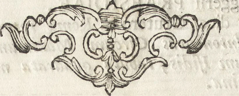 An illustration from Notizie storico-critiche concernenti all' arte degli antichi negli assedj e nella difesa delle piazze, 1761, leaf 49