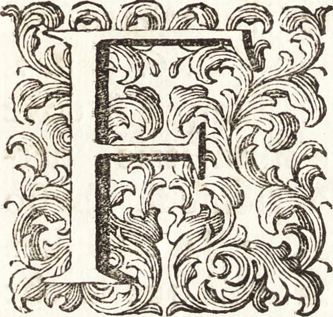 An illustration from Il forestiere istruito delle cose più rare di architettura, e di alcune pitture della città di Vicenza : dialogo, 1761, leaf 14