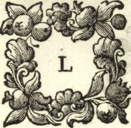 An illustration from Il forestiere istruito delle cose più rare di architettura, e di alcune pitture della città di Vicenza : dialogo, 1761, leaf 91