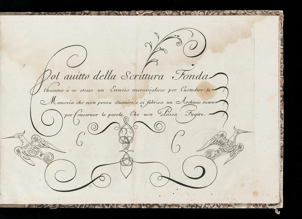 An illustration from Nuouo libro d' essemplari della scrittura italiana : secondo la maniera piú propria, piú facile, e piú moderna che si usa presentemente, leaf 8