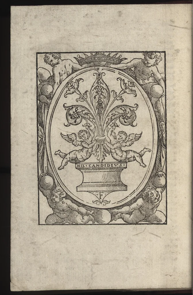 An illustration from La descrizione della pompa e dell'apparato fatto in Firenze nel battesimo del serenissimo principe di Toscana, 1577, leaf 37