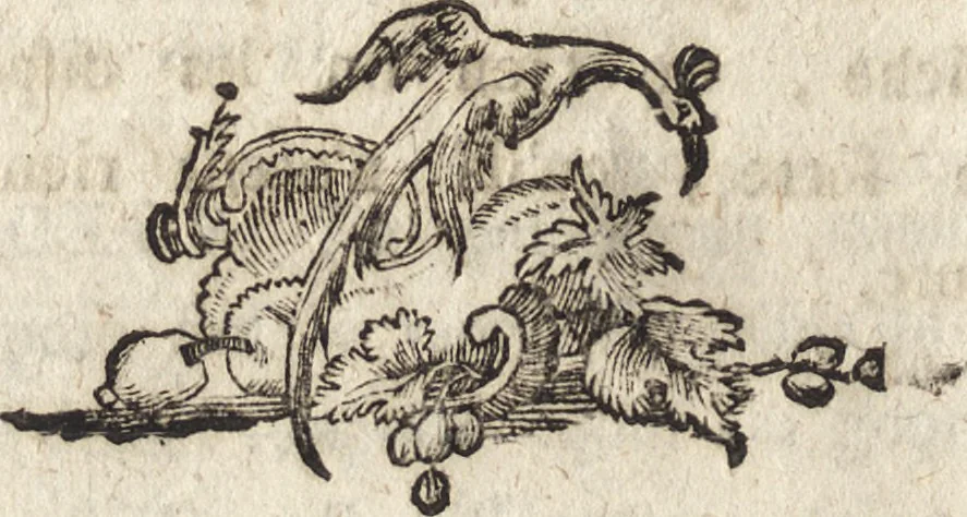 An illustration from Elemens de l'architecture civile, à l'usage des cavaliers du College Roial Thérésien, 1772, leaf 189