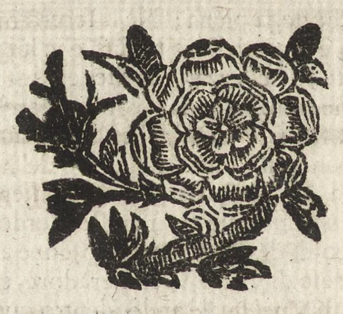 An illustration from Le vite de' più eccellenti pittori, scultori et architetti, 1647, leaf 239
