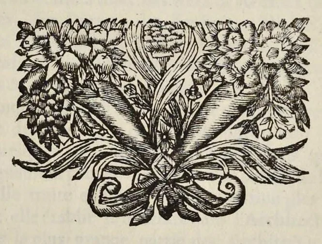 An illustration from Cours d'architecture enseigné dans l'Academie royale d'architecture ..., 1698, leaf 6