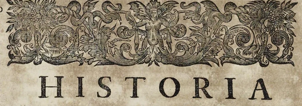 An illustration from Historia de Portugal restaurado, 1698, leaf 275