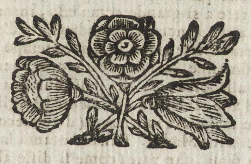 An illustration from Le glorie della gran Vergine al Sagro Monte sopra Varese, diocesi di Milano : origine, e progresso della divozione, monistero, e fabrica delle sante capelle : compendio della vita della beata Caterina, fondatrice del monistero, beata Giuliana sua prima compagna, e ven. madri sr. Benedetta Bimia e sr. Illuminata Alziati, seconda e terza abbadessa : racconto historico, 1699, leaf 62
