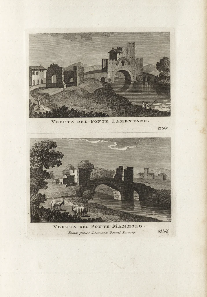 An illustration from Nuova raccolta di 100 vedutine antiche della cittá di Roma e sue vicinanze, 1795, leaf 70