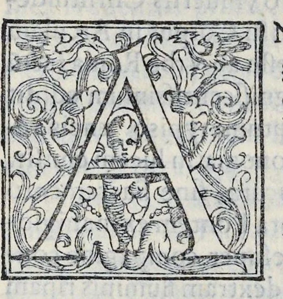An illustration from De sacrosancto Christi corpore Romanis Pontificibvs iter conficientibus præferendo commentarivs : antiquissimi ritus causam, & originem, variasq. summorum pontificum sacratissimam secum hostium in itinere deferentium profectiones : itinerarium Societatis Sanctissimi Sacramenti Clemente. VIII. Pont. Max. Ferarriam profisciente eiusdemq. Pontificis solemnem in eam ciuitatem ingressum et in Vrbem Romam reditum complectens, 1599, leaf 122