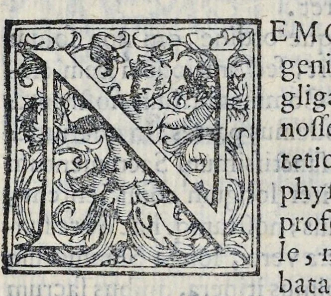 An illustration from De sacrosancto Christi corpore Romanis Pontificibvs iter conficientibus præferendo commentarivs : antiquissimi ritus causam, & originem, variasq. summorum pontificum sacratissimam secum hostium in itinere deferentium profectiones : itinerarium Societatis Sanctissimi Sacramenti Clemente. VIII. Pont. Max. Ferarriam profisciente eiusdemq. Pontificis solemnem in eam ciuitatem ingressum et in Vrbem Romam reditum complectens, 1599, leaf 20