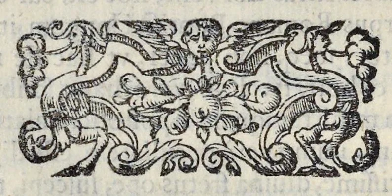 An illustration from De sacrosancto Christi corpore Romanis Pontificibvs iter conficientibus præferendo commentarivs : antiquissimi ritus causam, & originem, variasq. summorum pontificum sacratissimam secum hostium in itinere deferentium profectiones : itinerarium Societatis Sanctissimi Sacramenti Clemente. VIII. Pont. Max. Ferarriam profisciente eiusdemq. Pontificis solemnem in eam ciuitatem ingressum et in Vrbem Romam reditum complectens, 1599, leaf 21