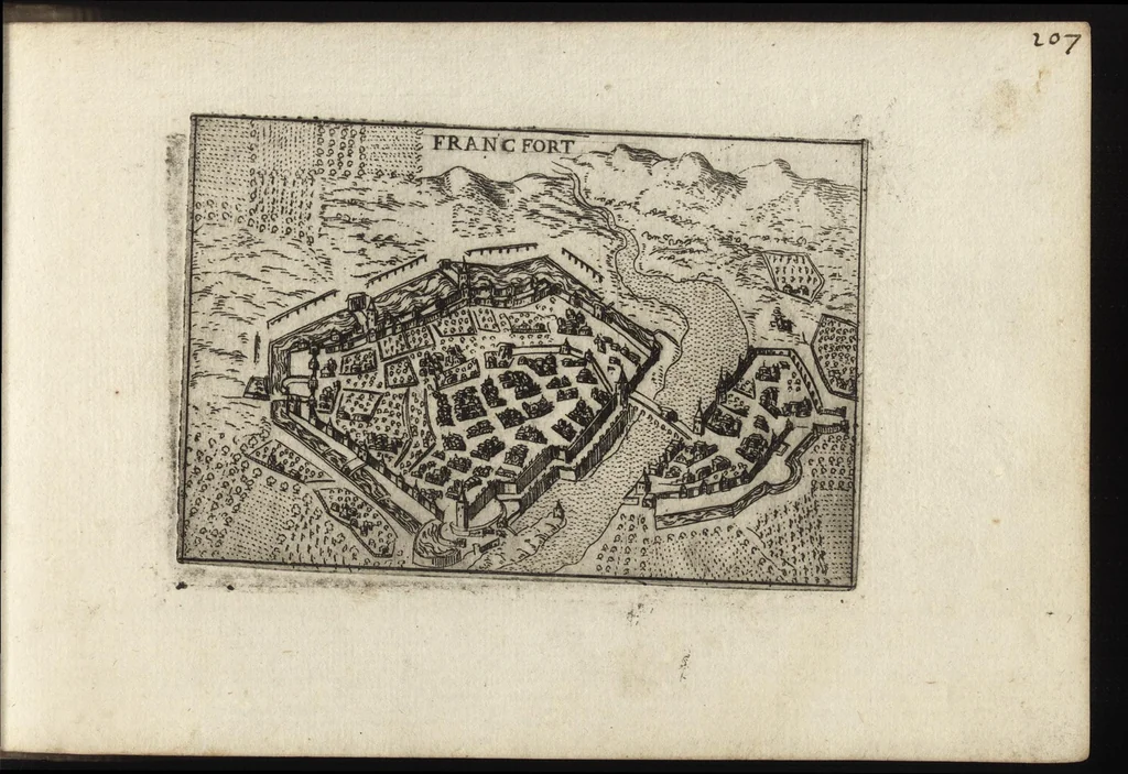 An illustration from Raccolta di le piu illustri et famose citta di tutto il mondo, 1599, leaf 216