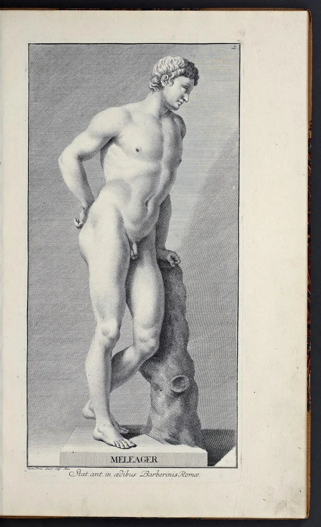 An illustration from Statuae insigniores, 1736, leaf 10