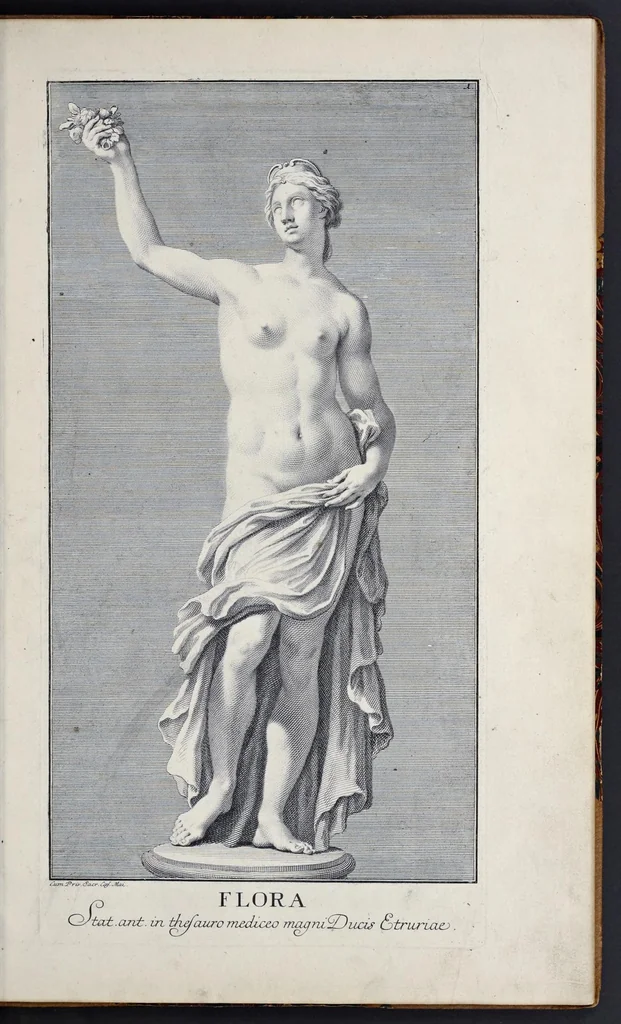 An illustration from Statuae insigniores, 1736, leaf 8