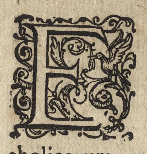 An illustration from De SS. martyrvm crvciatibvs Antonii Gallonii rom. Congregationis oratorii prebyteri liber : quo potissimum instrumenta & modi, quibus ijdem Christi martyres olim torquebantur, accuratissime tabellis expressa describuntur, 1594, leaf 13