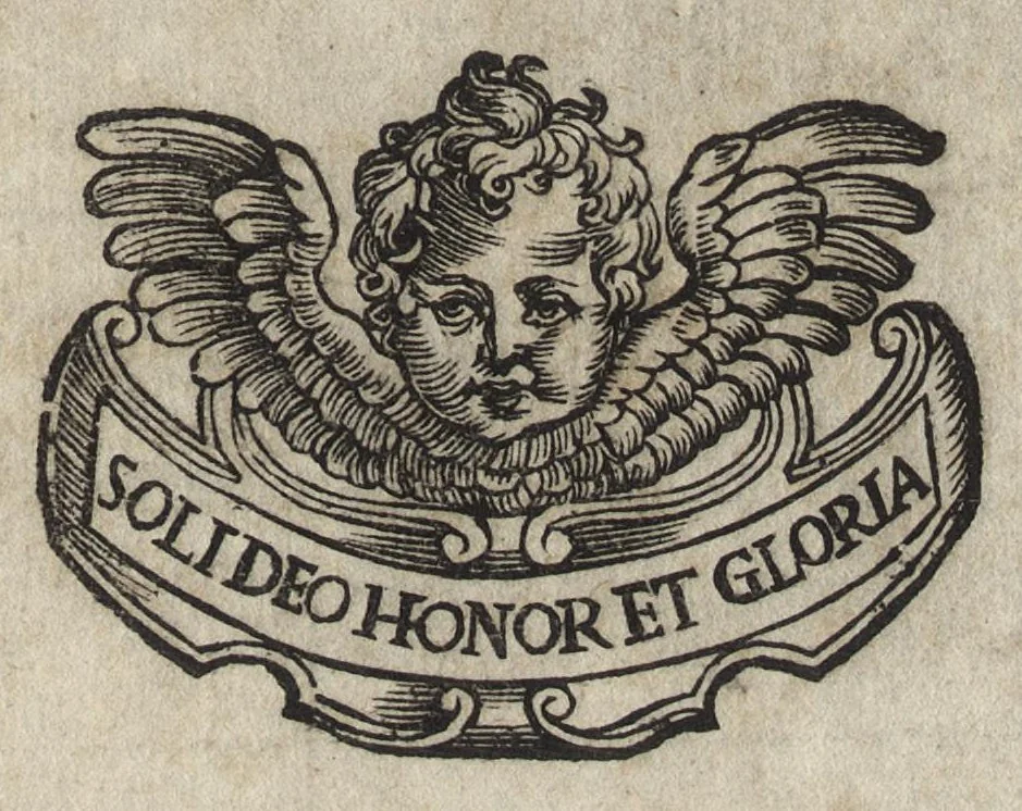 An illustration from De SS. martyrvm crvciatibvs Antonii Gallonii rom. Congregationis oratorii prebyteri liber : quo potissimum instrumenta & modi, quibus ijdem Christi martyres olim torquebantur, accuratissime tabellis expressa describuntur, 1594, leaf 310