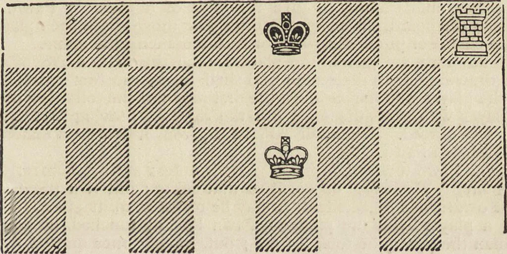 An illustration from Beeton's housewife's treasury of domestic information : comprising complete and practical instructions on the house and its furniture, artistic decoration economy, toilet, children, etiquette, domestic and fancy needlework, dressmaking and millinery, and all other household matters : with every requisite direction to secure the comfort, elegance, and prosperity of the home : a companion volume to "Mrs. Beeton's book of household management" : profusely illustrated, 1879, leaf 1012