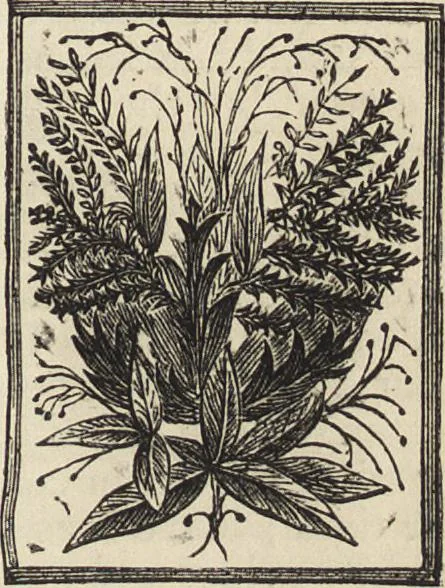 An illustration from Beeton's housewife's treasury of domestic information : comprising complete and practical instructions on the house and its furniture, artistic decoration economy, toilet, children, etiquette, domestic and fancy needlework, dressmaking and millinery, and all other household matters : with every requisite direction to secure the comfort, elegance, and prosperity of the home : a companion volume to "Mrs. Beeton's book of household management" : profusely illustrated, 1879, leaf 1036