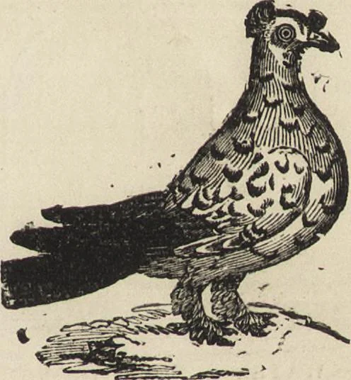 An illustration from Beeton's housewife's treasury of domestic information : comprising complete and practical instructions on the house and its furniture, artistic decoration economy, toilet, children, etiquette, domestic and fancy needlework, dressmaking and millinery, and all other household matters : with every requisite direction to secure the comfort, elegance, and prosperity of the home : a companion volume to "Mrs. Beeton's book of household management" : profusely illustrated, 1879, leaf 1060