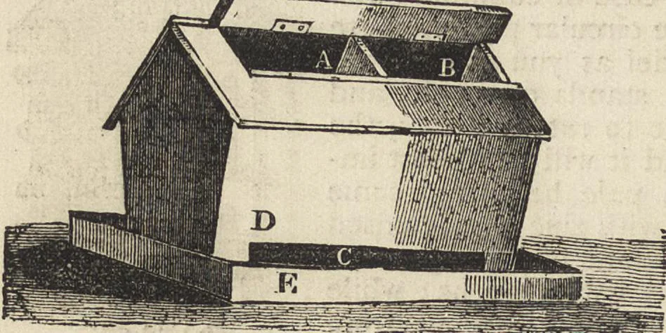 An illustration from Beeton's housewife's treasury of domestic information : comprising complete and practical instructions on the house and its furniture, artistic decoration economy, toilet, children, etiquette, domestic and fancy needlework, dressmaking and millinery, and all other household matters : with every requisite direction to secure the comfort, elegance, and prosperity of the home : a companion volume to "Mrs. Beeton's book of household management" : profusely illustrated, 1879, leaf 1061