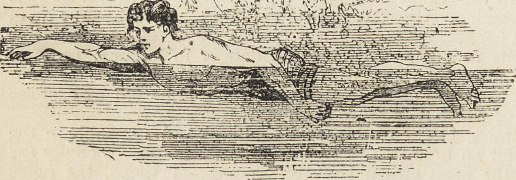 An illustration from Beeton's housewife's treasury of domestic information : comprising complete and practical instructions on the house and its furniture, artistic decoration economy, toilet, children, etiquette, domestic and fancy needlework, dressmaking and millinery, and all other household matters : with every requisite direction to secure the comfort, elegance, and prosperity of the home : a companion volume to "Mrs. Beeton's book of household management" : profusely illustrated, 1879, leaf 1103