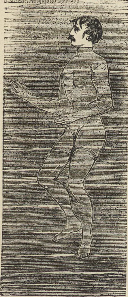 An illustration from Beeton's housewife's treasury of domestic information : comprising complete and practical instructions on the house and its furniture, artistic decoration economy, toilet, children, etiquette, domestic and fancy needlework, dressmaking and millinery, and all other household matters : with every requisite direction to secure the comfort, elegance, and prosperity of the home : a companion volume to "Mrs. Beeton's book of household management" : profusely illustrated, 1879, leaf 1103