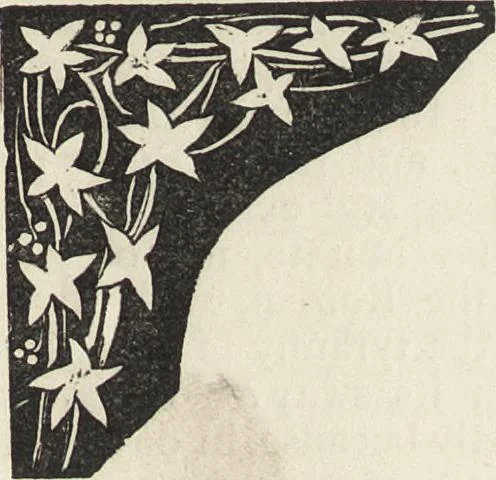 An illustration from Beeton's housewife's treasury of domestic information : comprising complete and practical instructions on the house and its furniture, artistic decoration economy, toilet, children, etiquette, domestic and fancy needlework, dressmaking and millinery, and all other household matters : with every requisite direction to secure the comfort, elegance, and prosperity of the home : a companion volume to "Mrs. Beeton's book of household management" : profusely illustrated, 1879, leaf 258