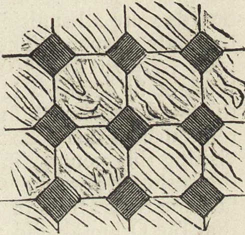 An illustration from Beeton's housewife's treasury of domestic information : comprising complete and practical instructions on the house and its furniture, artistic decoration economy, toilet, children, etiquette, domestic and fancy needlework, dressmaking and millinery, and all other household matters : with every requisite direction to secure the comfort, elegance, and prosperity of the home : a companion volume to "Mrs. Beeton's book of household management" : profusely illustrated, 1879, leaf 264