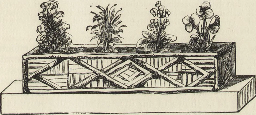 An illustration from Beeton's housewife's treasury of domestic information : comprising complete and practical instructions on the house and its furniture, artistic decoration economy, toilet, children, etiquette, domestic and fancy needlework, dressmaking and millinery, and all other household matters : with every requisite direction to secure the comfort, elegance, and prosperity of the home : a companion volume to "Mrs. Beeton's book of household management" : profusely illustrated, 1879, leaf 342