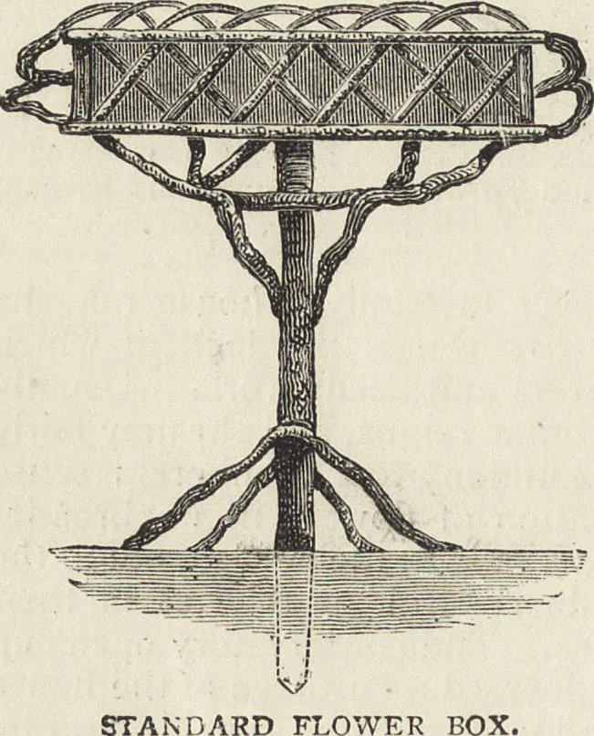 An illustration from Beeton's housewife's treasury of domestic information : comprising complete and practical instructions on the house and its furniture, artistic decoration economy, toilet, children, etiquette, domestic and fancy needlework, dressmaking and millinery, and all other household matters : with every requisite direction to secure the comfort, elegance, and prosperity of the home : a companion volume to "Mrs. Beeton's book of household management" : profusely illustrated, 1879, leaf 343