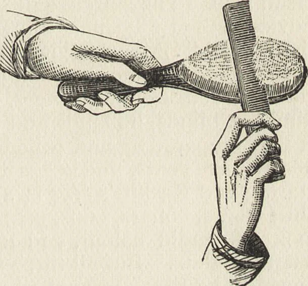 An illustration from Beeton's housewife's treasury of domestic information : comprising complete and practical instructions on the house and its furniture, artistic decoration economy, toilet, children, etiquette, domestic and fancy needlework, dressmaking and millinery, and all other household matters : with every requisite direction to secure the comfort, elegance, and prosperity of the home : a companion volume to "Mrs. Beeton's book of household management" : profusely illustrated, 1879, leaf 376