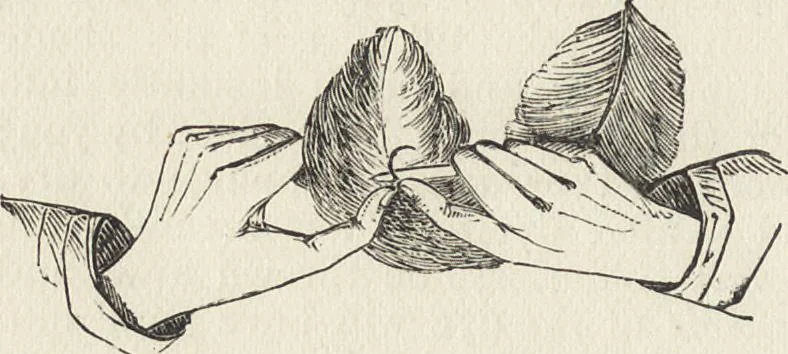 An illustration from Beeton's housewife's treasury of domestic information : comprising complete and practical instructions on the house and its furniture, artistic decoration economy, toilet, children, etiquette, domestic and fancy needlework, dressmaking and millinery, and all other household matters : with every requisite direction to secure the comfort, elegance, and prosperity of the home : a companion volume to "Mrs. Beeton's book of household management" : profusely illustrated, 1879, leaf 383