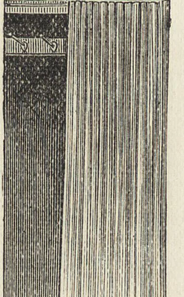 An illustration from Beeton's housewife's treasury of domestic information : comprising complete and practical instructions on the house and its furniture, artistic decoration economy, toilet, children, etiquette, domestic and fancy needlework, dressmaking and millinery, and all other household matters : with every requisite direction to secure the comfort, elegance, and prosperity of the home : a companion volume to "Mrs. Beeton's book of household management" : profusely illustrated, 1879, leaf 417