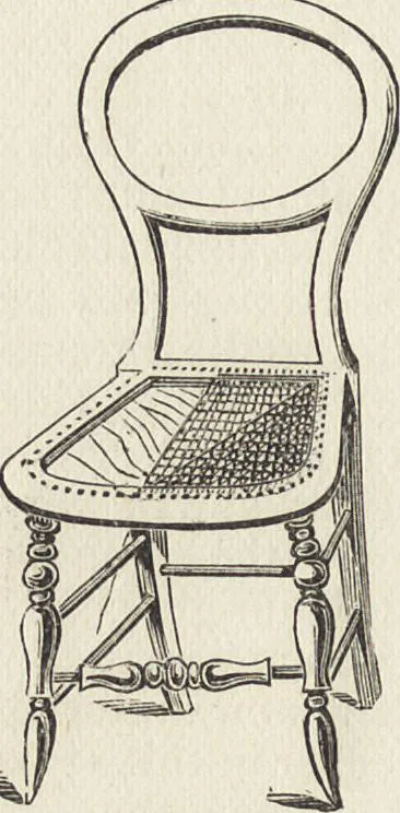 An illustration from Beeton's housewife's treasury of domestic information : comprising complete and practical instructions on the house and its furniture, artistic decoration economy, toilet, children, etiquette, domestic and fancy needlework, dressmaking and millinery, and all other household matters : with every requisite direction to secure the comfort, elegance, and prosperity of the home : a companion volume to "Mrs. Beeton's book of household management" : profusely illustrated, 1879, leaf 421