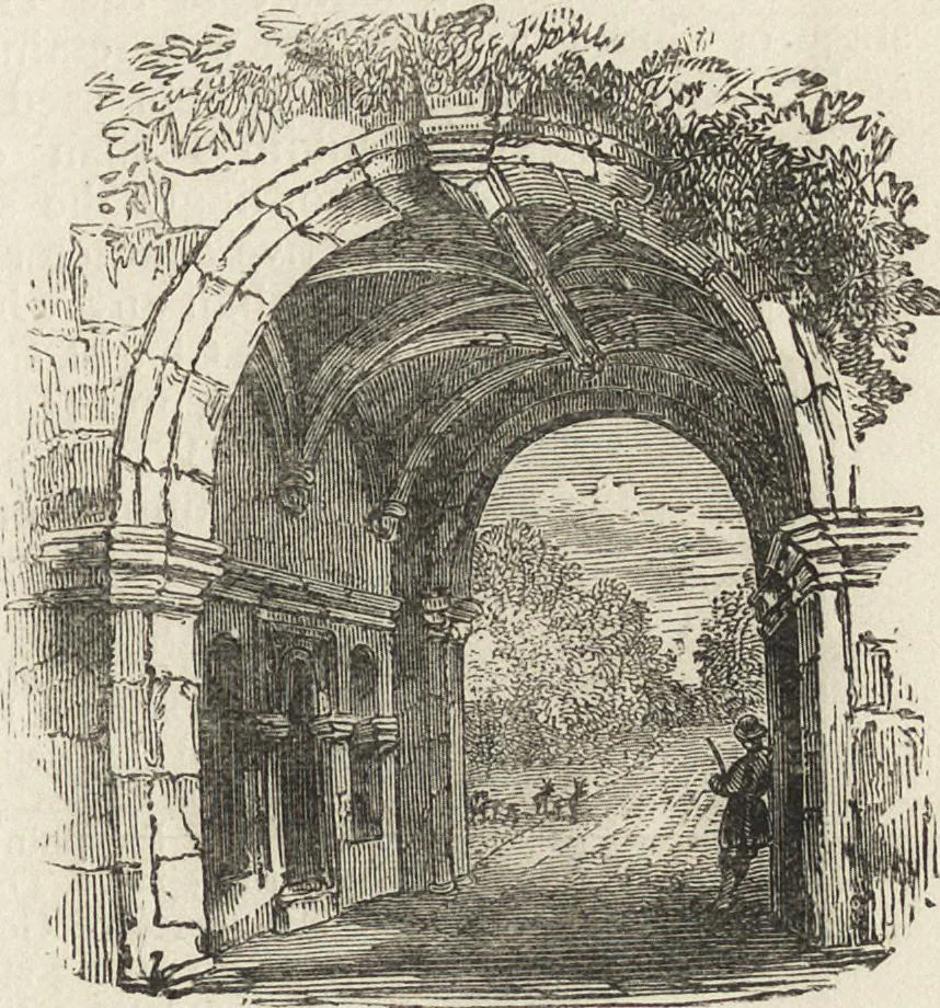 An illustration from Beeton's housewife's treasury of domestic information : comprising complete and practical instructions on the house and its furniture, artistic decoration economy, toilet, children, etiquette, domestic and fancy needlework, dressmaking and millinery, and all other household matters : with every requisite direction to secure the comfort, elegance, and prosperity of the home : a companion volume to "Mrs. Beeton's book of household management" : profusely illustrated, 1879, leaf 52