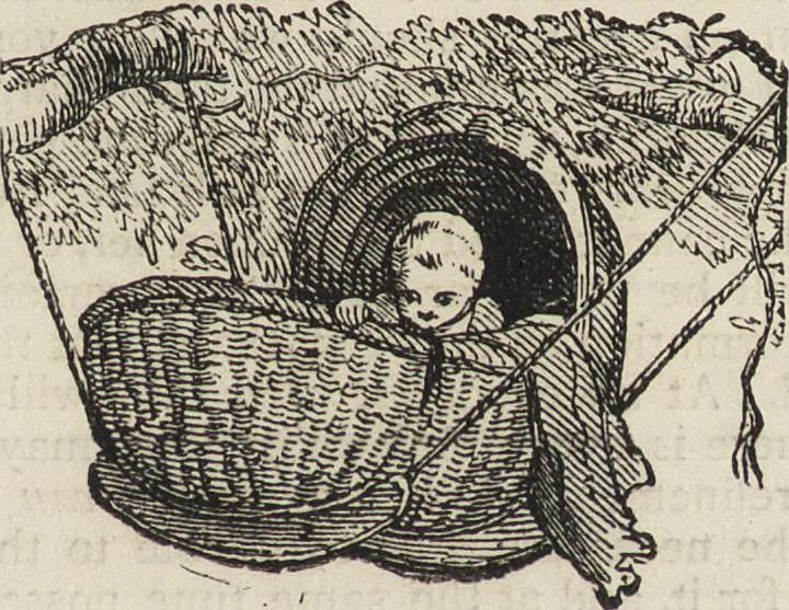 An illustration from Beeton's housewife's treasury of domestic information : comprising complete and practical instructions on the house and its furniture, artistic decoration economy, toilet, children, etiquette, domestic and fancy needlework, dressmaking and millinery, and all other household matters : with every requisite direction to secure the comfort, elegance, and prosperity of the home : a companion volume to "Mrs. Beeton's book of household management" : profusely illustrated, 1879, leaf 548