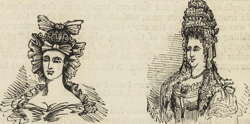 An illustration from Beeton's housewife's treasury of domestic information : comprising complete and practical instructions on the house and its furniture, artistic decoration economy, toilet, children, etiquette, domestic and fancy needlework, dressmaking and millinery, and all other household matters : with every requisite direction to secure the comfort, elegance, and prosperity of the home : a companion volume to "Mrs. Beeton's book of household management" : profusely illustrated, 1879, leaf 580