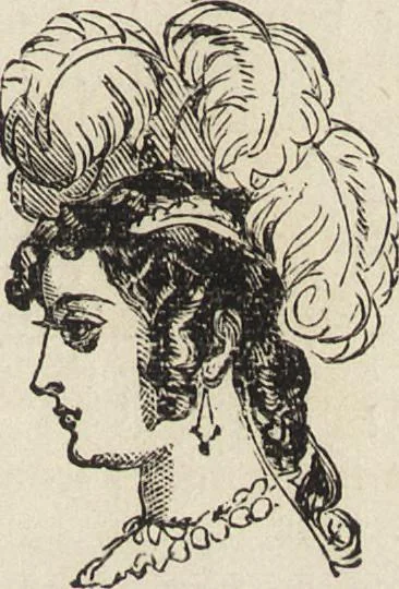 An illustration from Beeton's housewife's treasury of domestic information : comprising complete and practical instructions on the house and its furniture, artistic decoration economy, toilet, children, etiquette, domestic and fancy needlework, dressmaking and millinery, and all other household matters : with every requisite direction to secure the comfort, elegance, and prosperity of the home : a companion volume to "Mrs. Beeton's book of household management" : profusely illustrated, 1879, leaf 582
