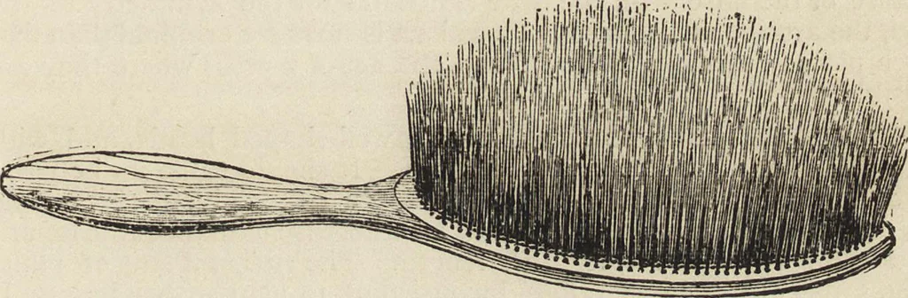 An illustration from Beeton's housewife's treasury of domestic information : comprising complete and practical instructions on the house and its furniture, artistic decoration economy, toilet, children, etiquette, domestic and fancy needlework, dressmaking and millinery, and all other household matters : with every requisite direction to secure the comfort, elegance, and prosperity of the home : a companion volume to "Mrs. Beeton's book of household management" : profusely illustrated, 1879, leaf 586